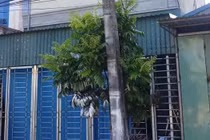 Thái Bình: Chồng đốt vợ rồi đi tự thú, nghi do mâu thuẫn gia đình