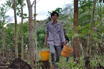 Rùng mình cảnh săn bọ cạp ở Đồng Nai với dụng cụ "độc"