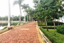 VKSND Tối cao chỉ đạo làm rõ vụ dâm ô trẻ em ở Vũng Tàu