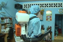 TPHCM: Thêm 2 quận huyện mới ghi nhận ca nhiễm Zika