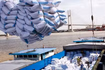 Trung Quốc đứng nhất bảng về nước nhập khẩu gạo Việt Nam