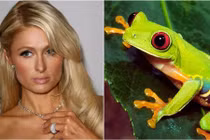 Những sở thích khác người của sao Hollywood 