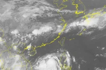 Dự báo thời tiết ngày 11/6: Áp thấp nhiệt đới giật cấp 8-9