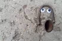 Độc đáo công trình hư hại thành tác phẩm nghệ thuật với Google Eye