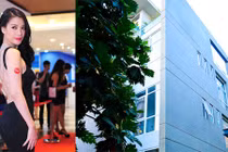 Trương Ngọc Ánh sở hữu gia sản triệu đô đáng mơ ước