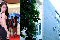 Trương Ngọc Ánh sở hữu gia sản triệu đô đáng mơ ước