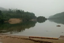 Giám đốc Ban quản lý rừng phòng hộ “mất tích”