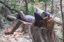 70 lâm tặc đánh kiểm lâm bất tỉnh, đập nát xe máy