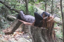 70 lâm tặc đánh kiểm lâm bất tỉnh, đập nát xe máy