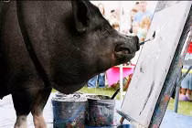 Những họa sĩ động vật tài ba nhất