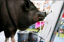 Những họa sĩ động vật tài ba nhất