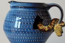 Tuyệt chiêu dùng động vật làm vũ khí trong chiến tranh