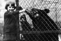 Tận mục cuộc sống trong vườn thú của bé gái