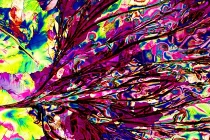 Màu sắc cực độc của các loại rượu