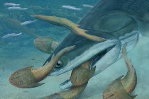 Phát hiện hóa thạch động vật từng thống trị các đại dương