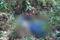 Kinh hoàng phát hiện xác người phân hủy trơ xương trong rừng keo