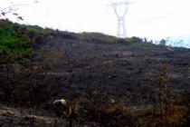 Đốt rừng dưới đường dây 500kV, lưới điện bị đe dọa