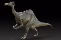 Khám phá khủng long "lạ", giống đà điểu hiện đại