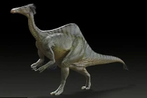 Khám phá khủng long "lạ", giống đà điểu hiện đại