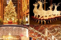 20 thống kê khoa học gây sốc về ngày lễ Noel