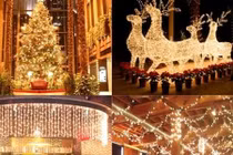 20 thống kê khoa học gây sốc về ngày lễ Noel