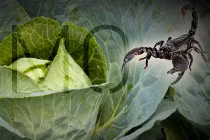 Top thí nghiệm với thiên nhiên quái đản không tưởng 