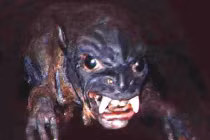 Quái thú hút máu chupacabra tái xuất?