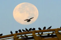 Hút mắt xem siêu mặt trăng đẹp đến sững sờ