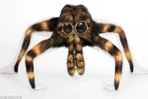 Nghệ thuật vẽ cơ thể người thành... quái thú