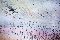 Lật tẩy bí ẩn băng Nam cực “bảy sắc cầu vồng” 