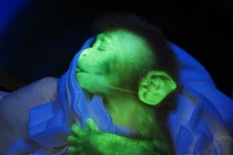 Thí nghiệm khoa học đáng sợ nhất 