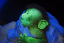 Thí nghiệm khoa học đáng sợ nhất 