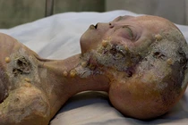 Những cú lừa khoa học gây sốc nhất (3)