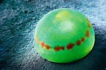 Xem hình ảnh kỳ ảo của trứng côn trùng