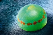 Xem hình ảnh kỳ ảo của trứng côn trùng