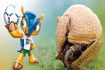 Tận mục linh vật World Cup 2014 ngoài đời thực