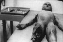 Những cú lừa khoa học gây sốc nhất (5)