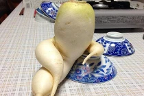 Chết cười với hình thù sexy của thực vật