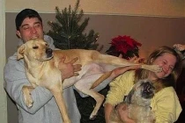 Khi động vật chơi khăm (1)