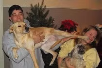 Khi động vật chơi khăm (1)