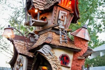 Những phát kiến tổ chim độc đáo có 1-0-2