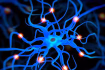 Đột phá công nghệ tương lai với nước tiểu 