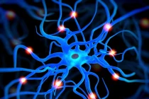 Đột phá công nghệ tương lai với nước tiểu 