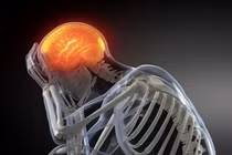 Top khám phá gây sốc về não người (1)