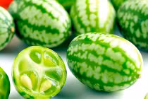 Những phép lai quái gở của thực vật 