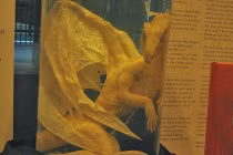 Những cú lừa khoa học gây sốc nhất (4)