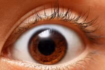 Top sự thật khoa học đơn giản đến kinh ngạc 