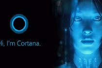 Microsoft, Google dự đoán chuẩn hơn bạch tuộc Paul