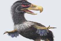 Top 10 khủng long làm nên “thương hiệu” kỷ Jura