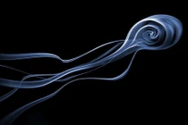 Chụp hình ma quái nhưng tuyệt đẹp từ... khói thuốc